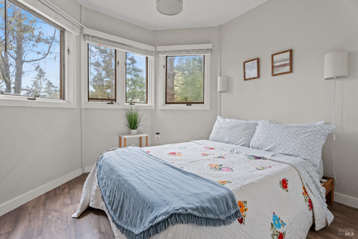 15741 Forest View Road Manchester CA 95459