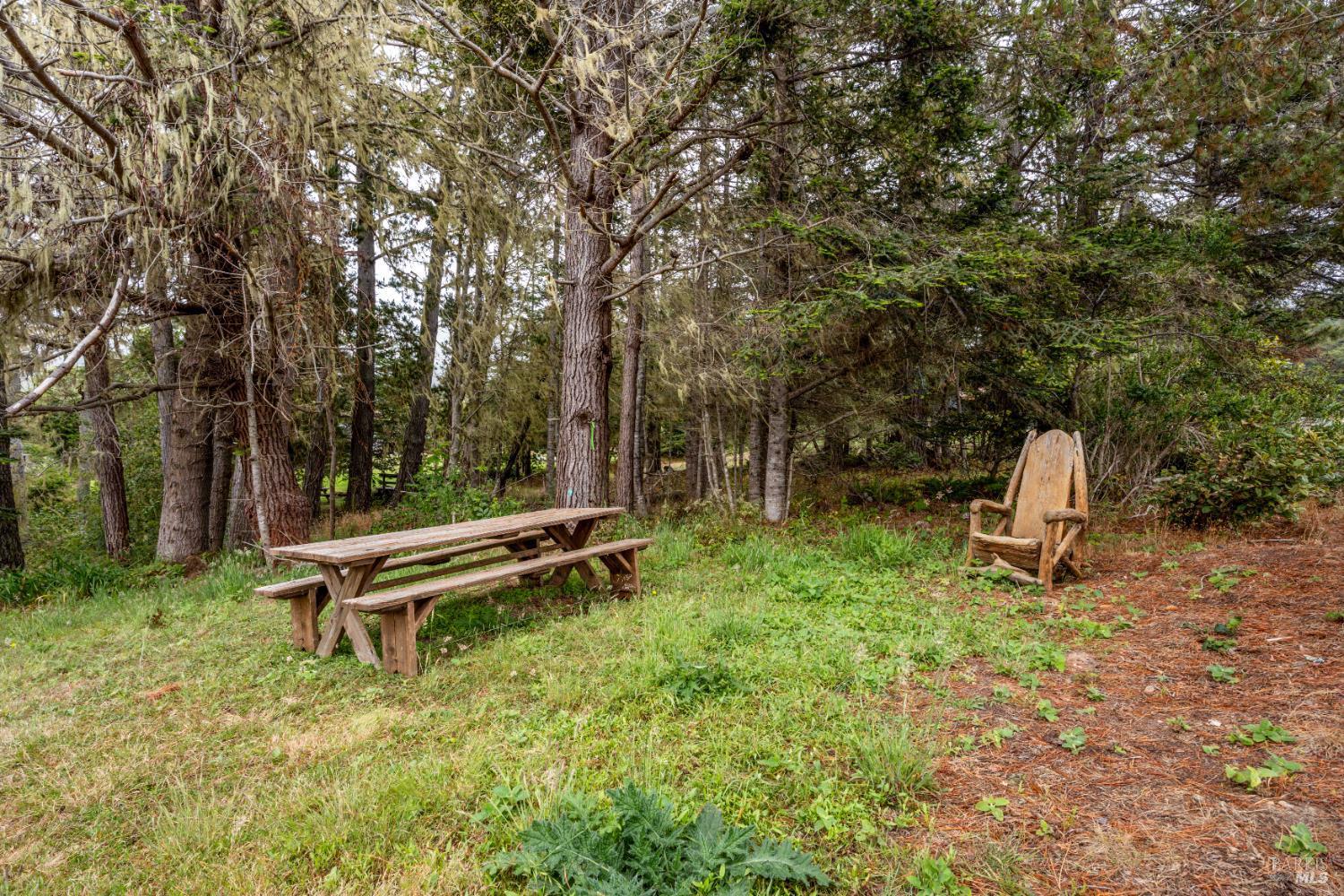 15741 Forest View Road Manchester CA 95459