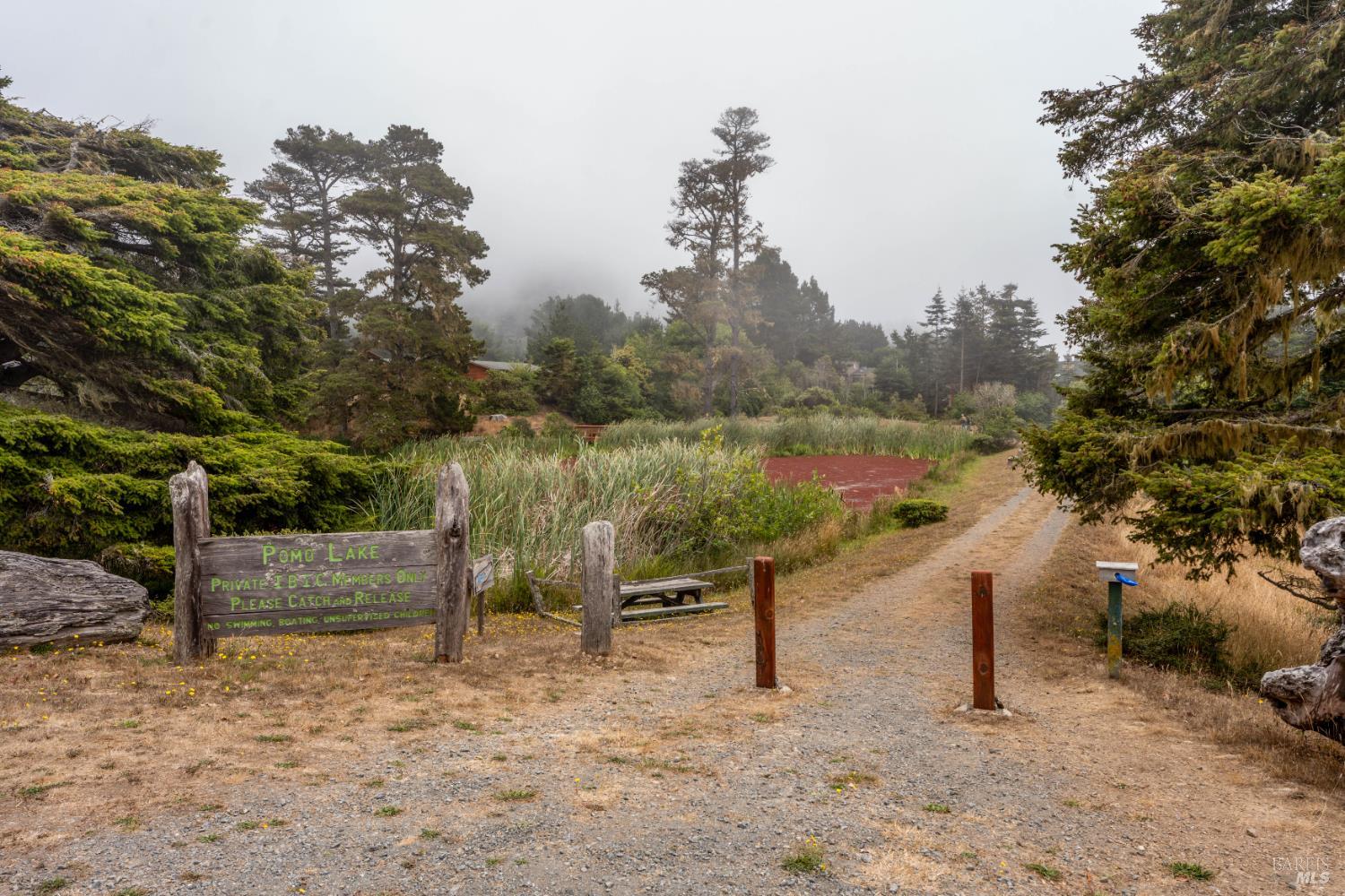 15741 Forest View Road Manchester CA 95459