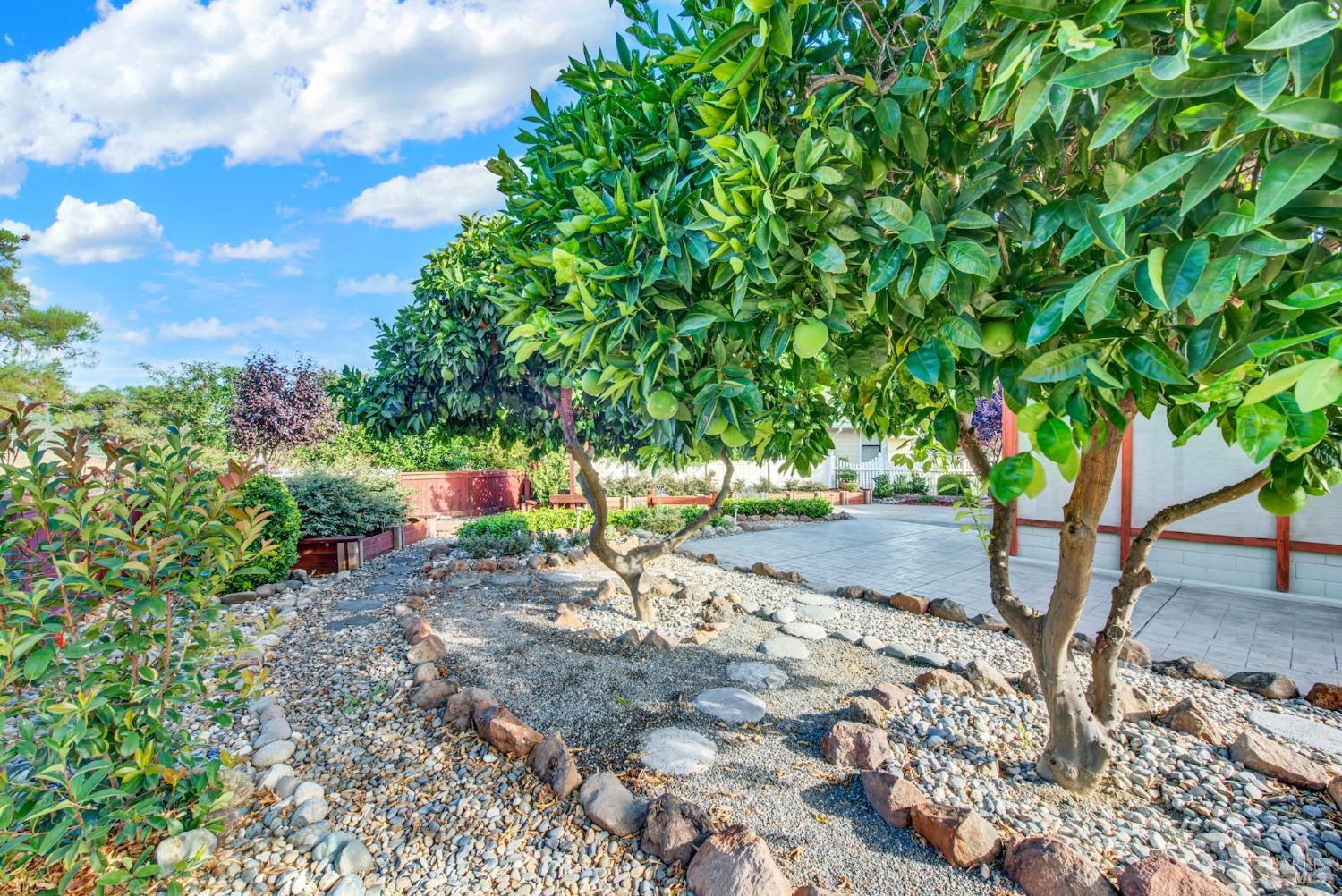 307 Zion Court Vacaville CA 95687