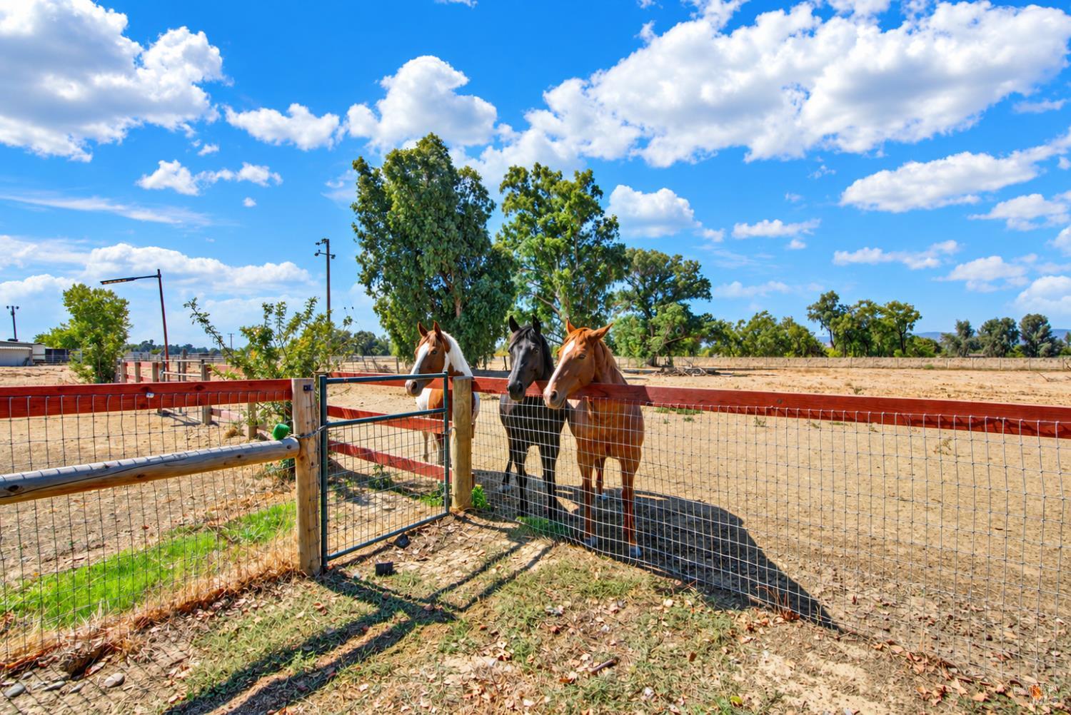 7885 Judy Lane Vacaville CA 95688