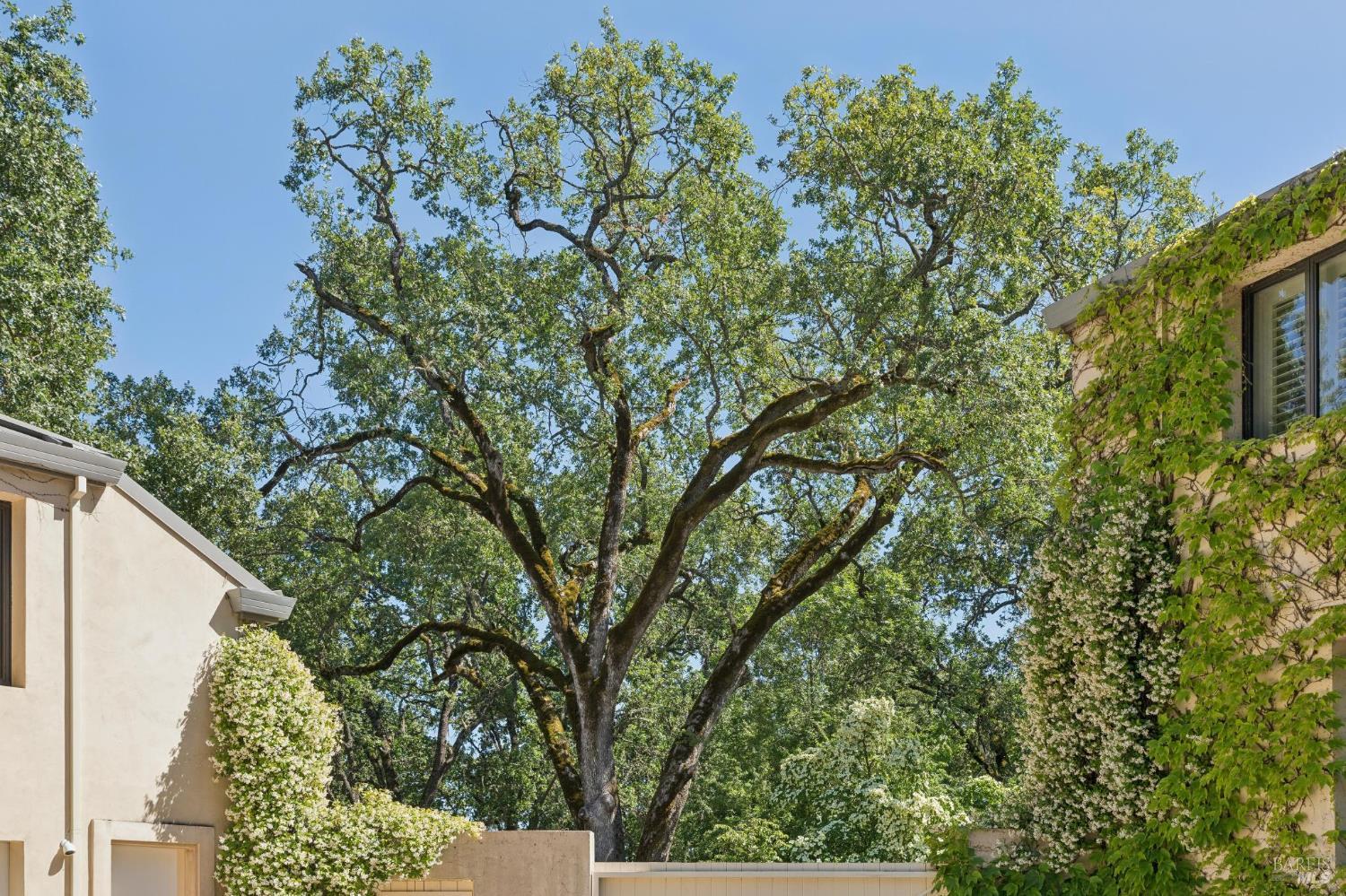 1110 Bale Lane Calistoga CA 94515