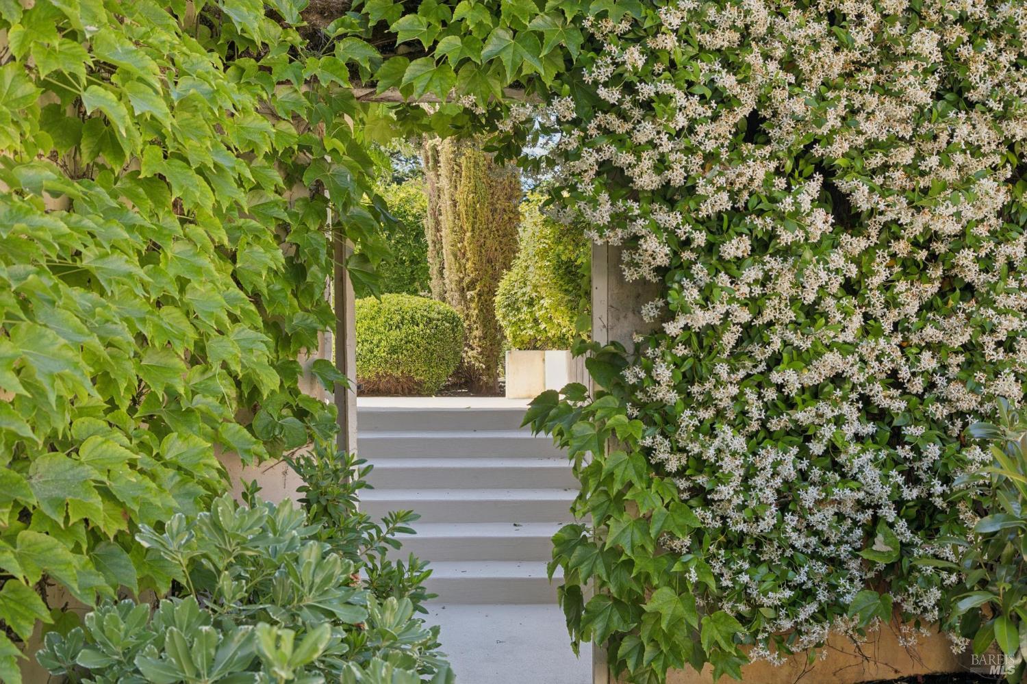 1110 Bale Lane Calistoga CA 94515