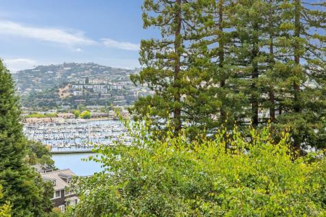 314 Bella Vista Avenue Belvedere CA 94920
