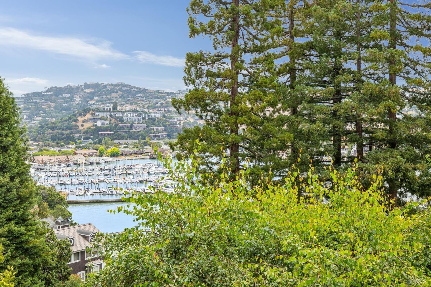 314 Bella Vista Avenue Belvedere CA 94920