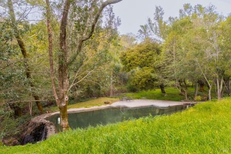 Sonoma CA 95476