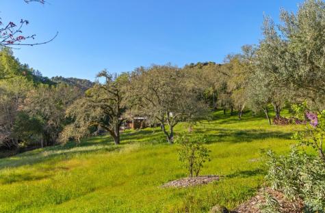 Sonoma CA 95476