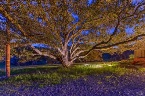 Sonoma CA 95476