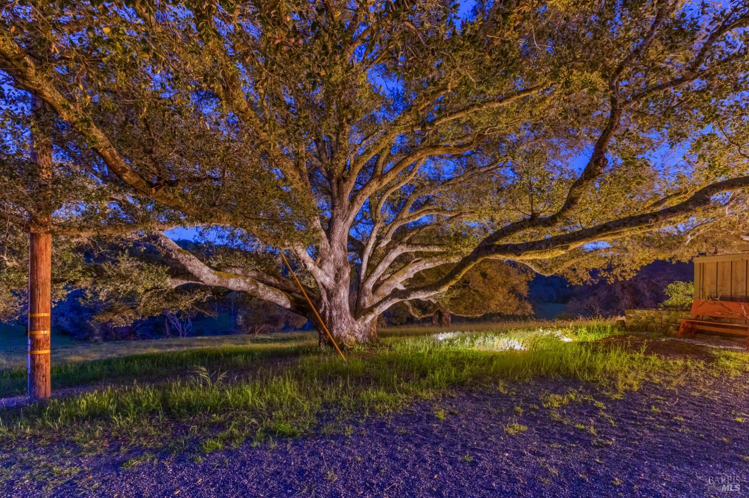 Sonoma CA 95476