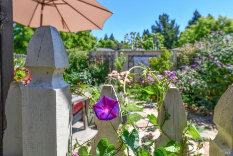 1907 Genoa Place Santa Rosa CA 95403