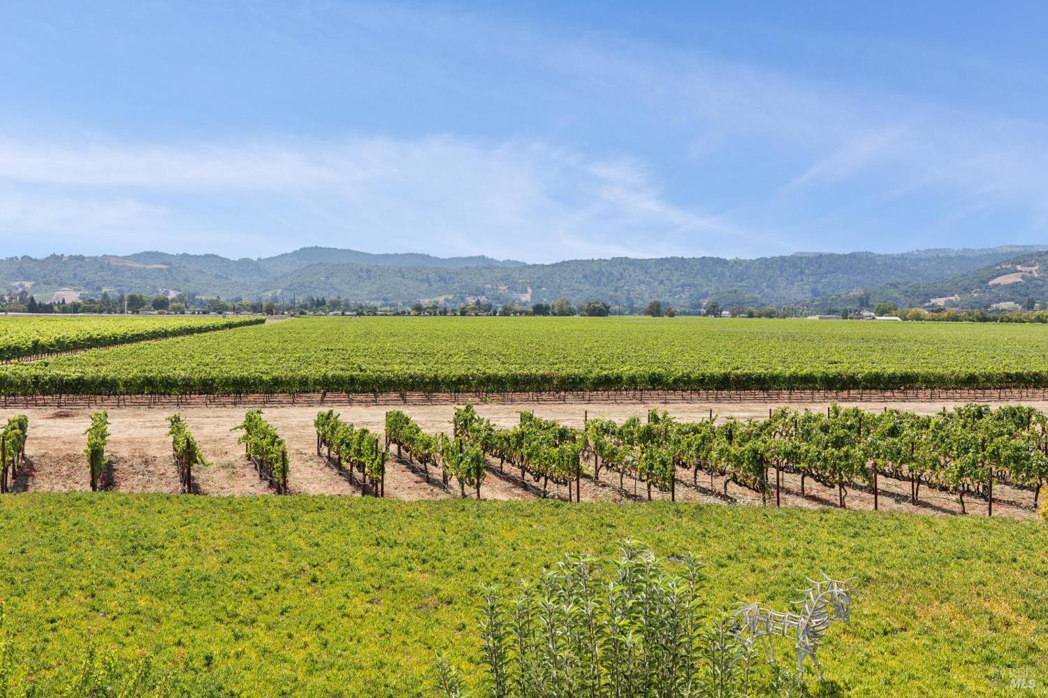 55 Hunter Ranch Road Napa CA 94558