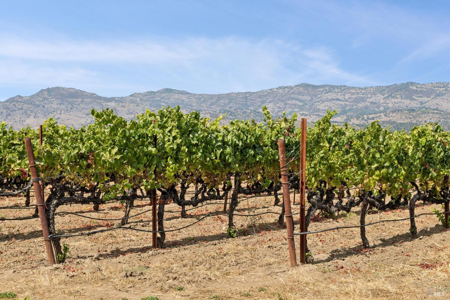 55 Hunter Ranch Road Napa CA 94558