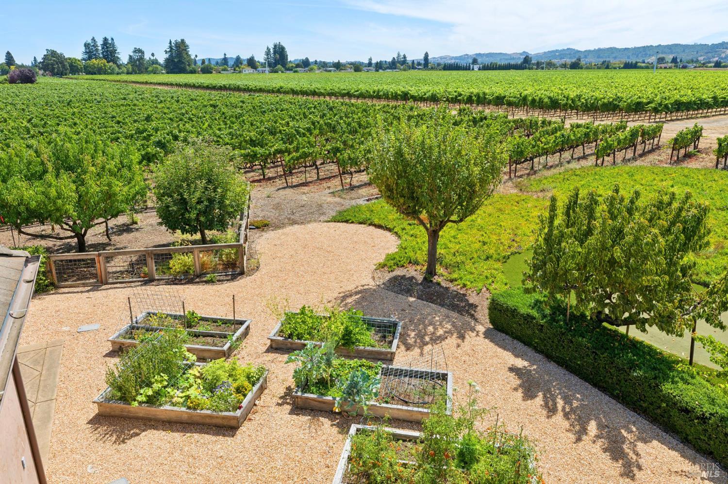 55 Hunter Ranch Road Napa CA 94558