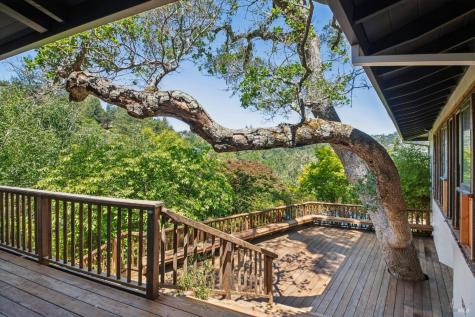 95 Westwood Drive Kentfield CA 94904