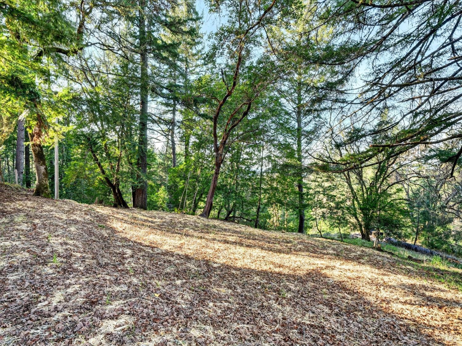 10701 Orr Springs Road Ukiah CA 95482