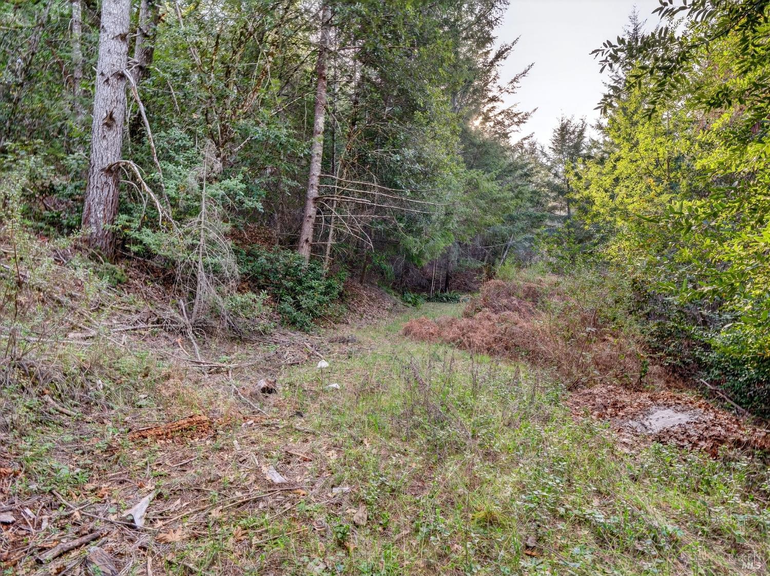 10701 Orr Springs Road Ukiah CA 95482