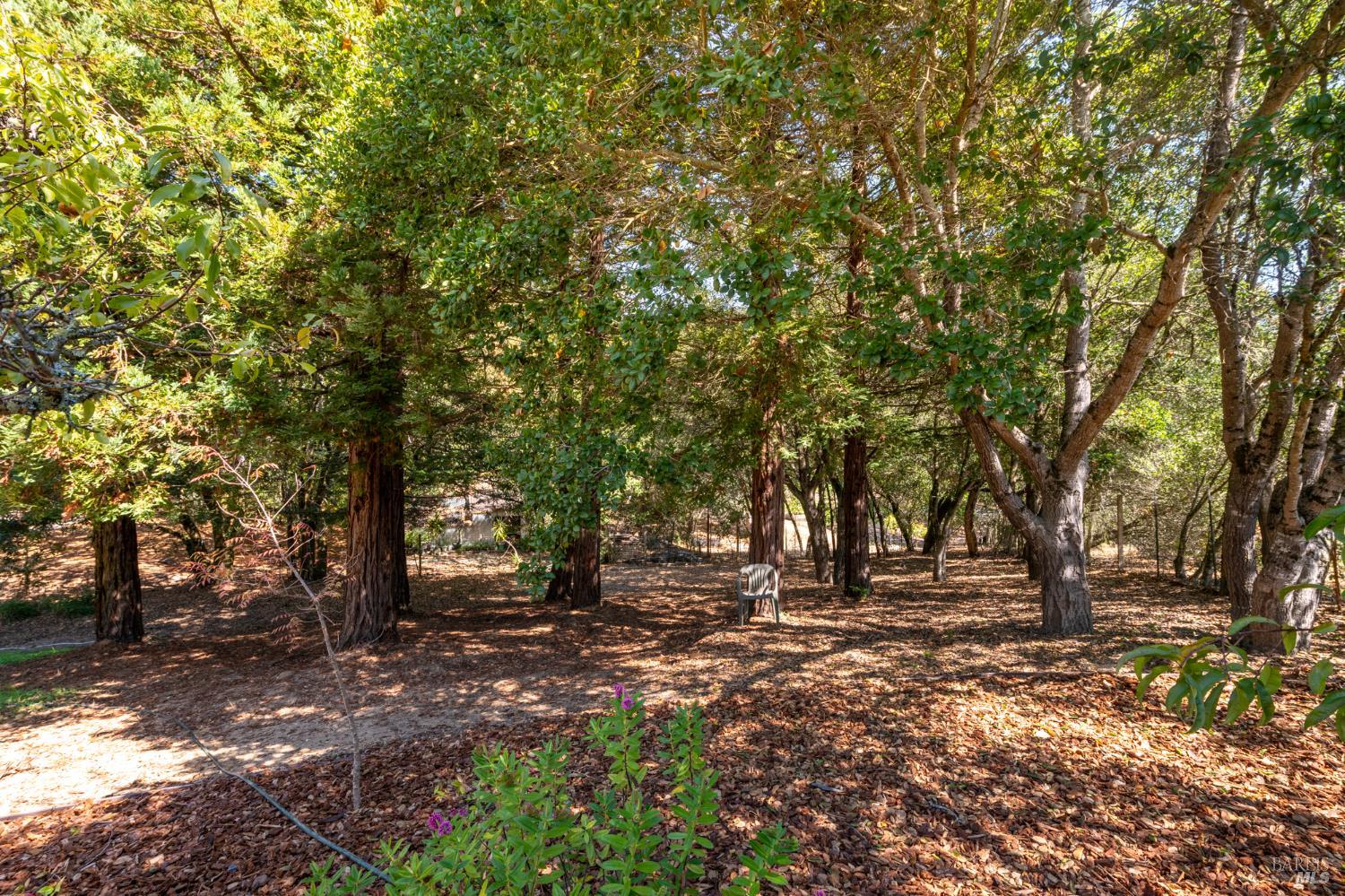 1497 Hurlbut Lane Sebastopol CA 95472