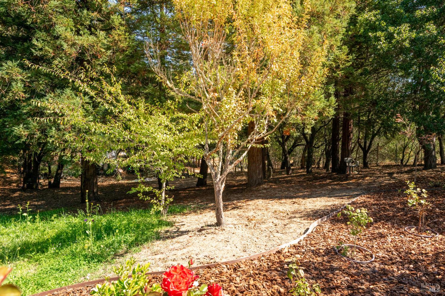 1497 Hurlbut Lane Sebastopol CA 95472