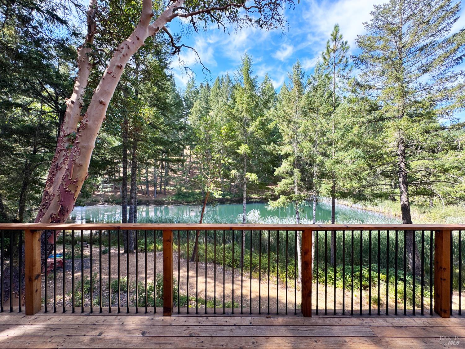 4101 Chinquapin Drive Willits CA 95490