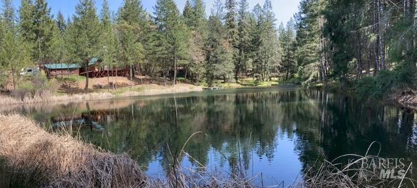 4101 Chinquapin Drive Willits CA 95490
