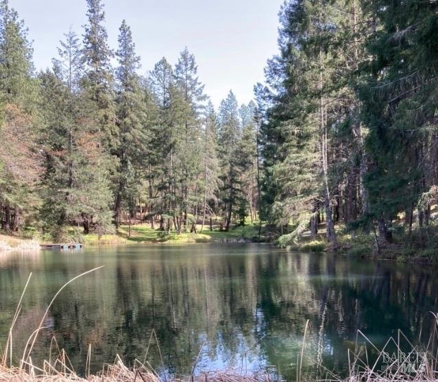 4101 Chinquapin Drive Willits CA 95490