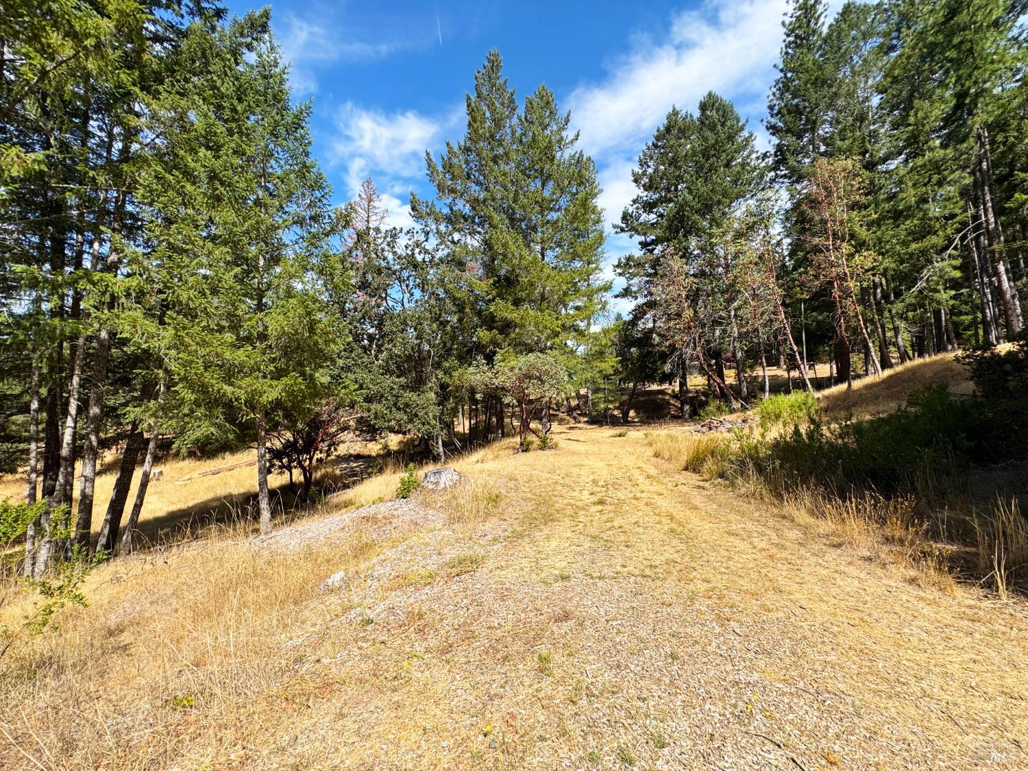 4101 Chinquapin Drive Willits CA 95490