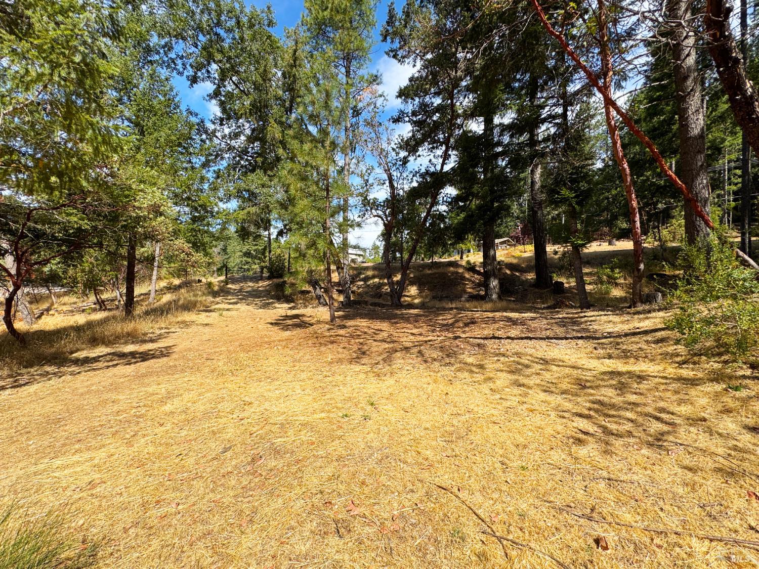 4101 Chinquapin Drive Willits CA 95490