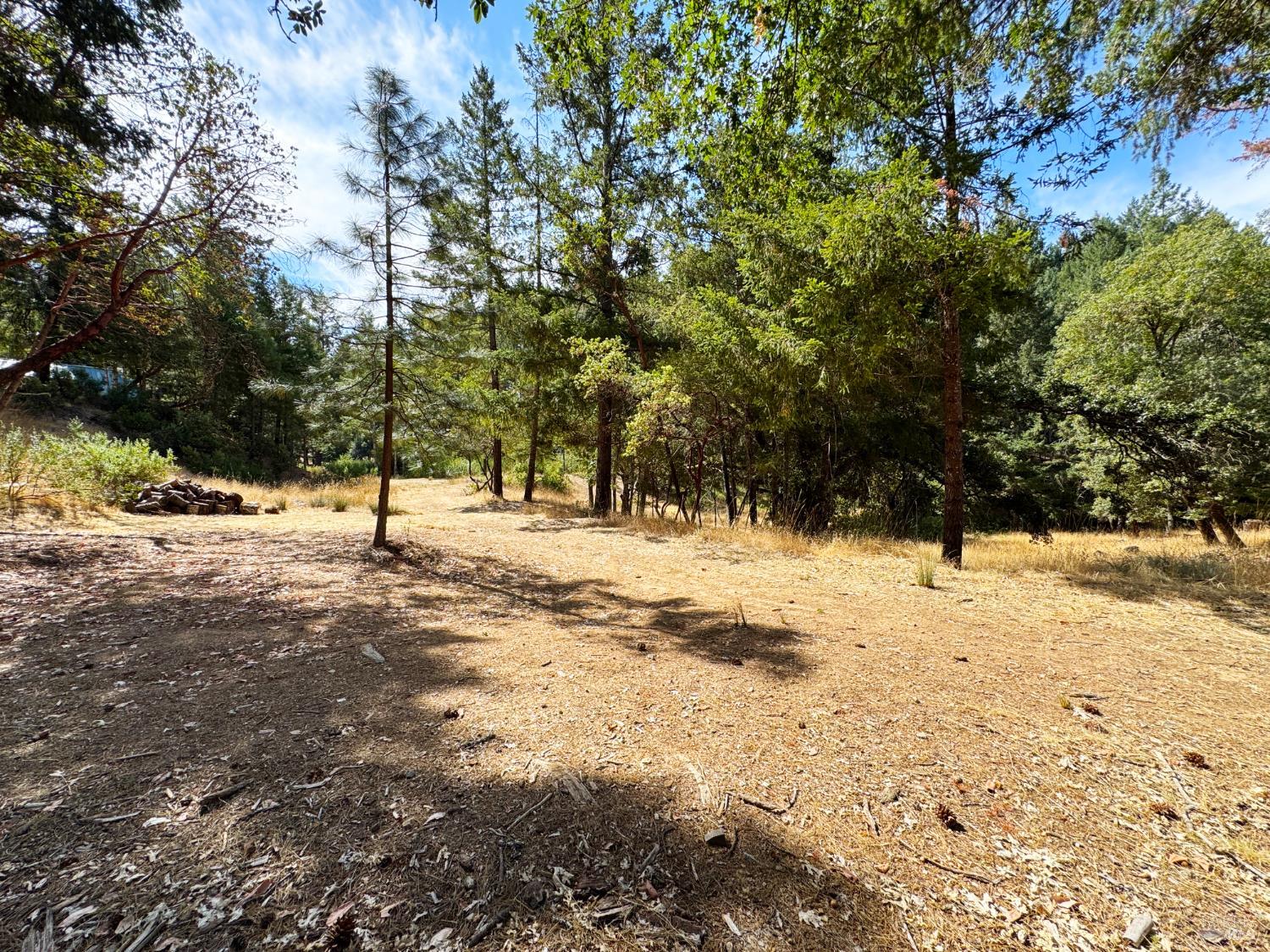 4101 Chinquapin Drive Willits CA 95490