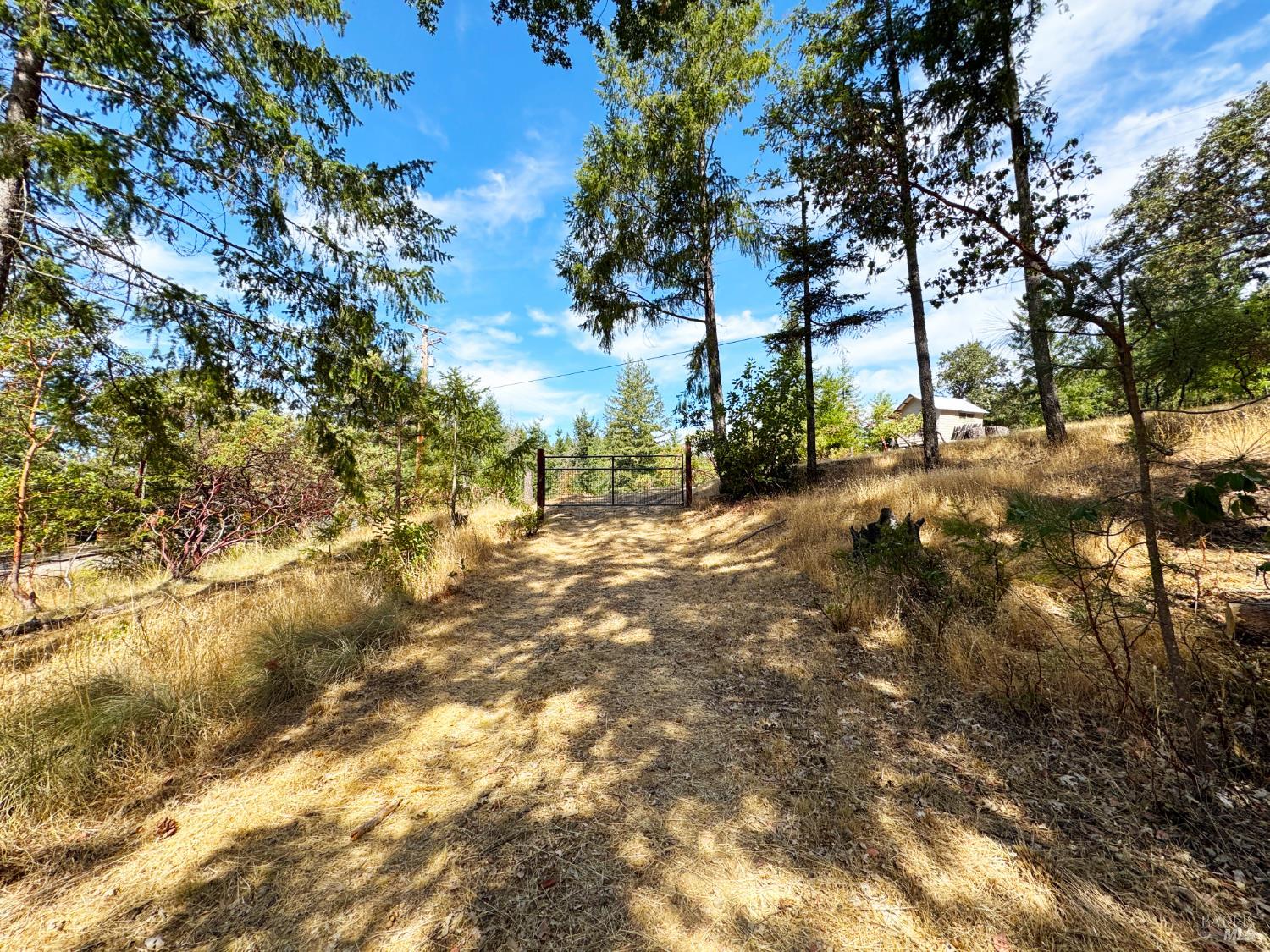 4101 Chinquapin Drive Willits CA 95490