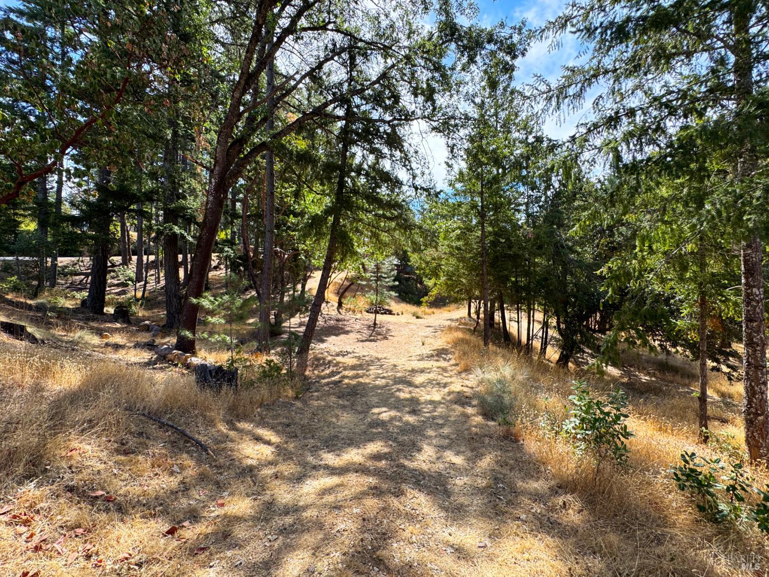 4101 Chinquapin Drive Willits CA 95490