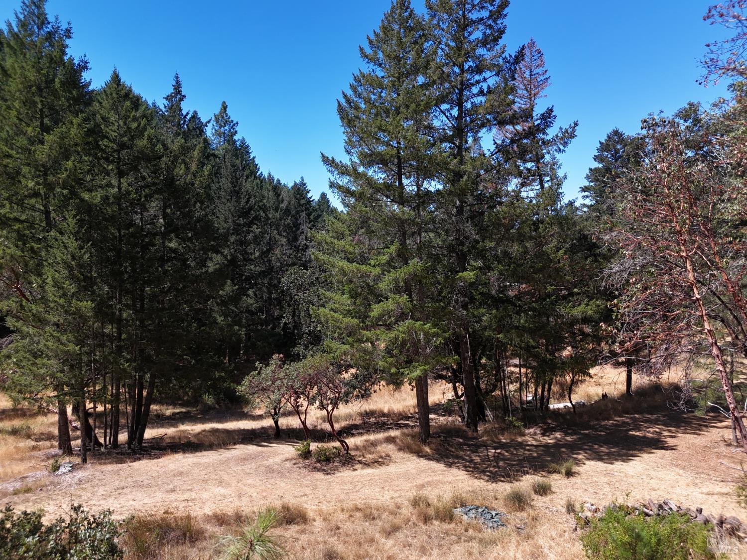 4101 Chinquapin Drive Willits CA 95490
