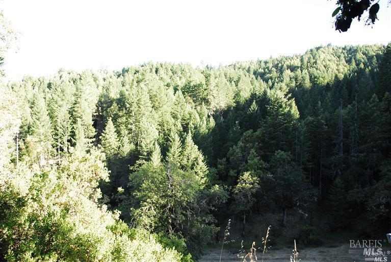 8555 Cave Creek Road Redwood Valley CA 95470