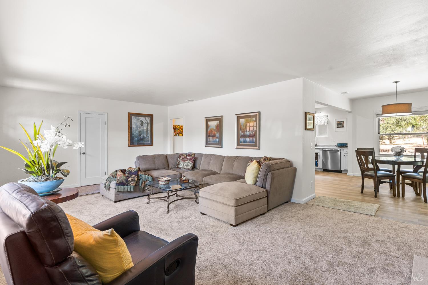 420 Sky Oaks Drive Angwin CA 94508