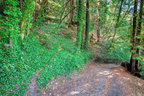 21684 Starrett Hill Drive Monte Rio CA 95462