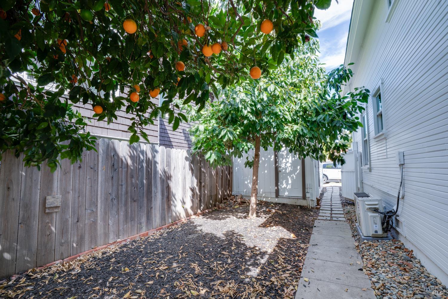 469 Adams Street Napa CA 94559