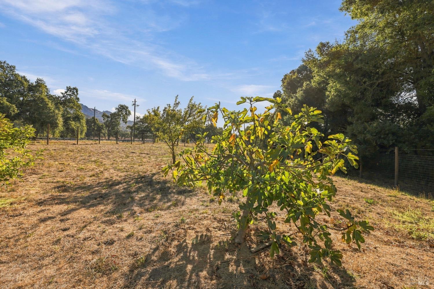 6323 Pine Valley Drive Santa Rosa CA 95409