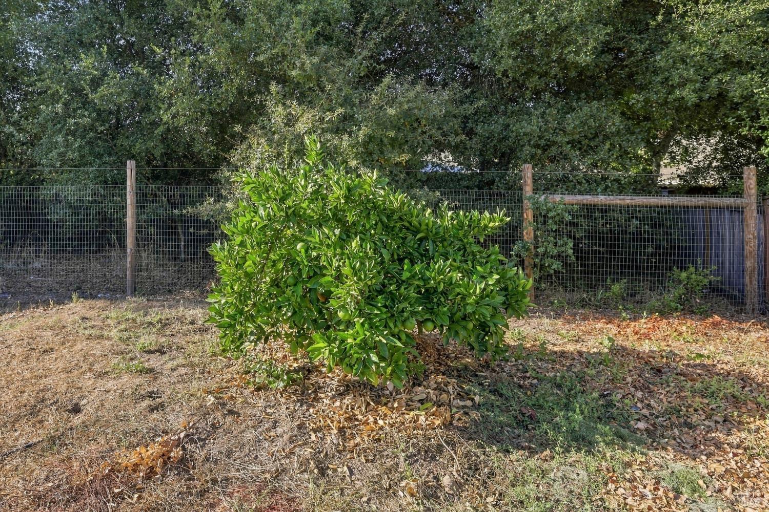 6323 Pine Valley Drive Santa Rosa CA 95409