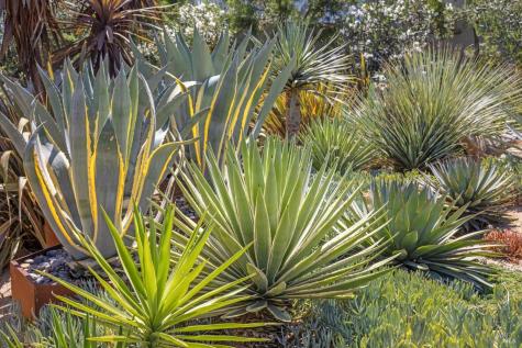 3929 Rincon Ridge Drive Santa Rosa CA 95404