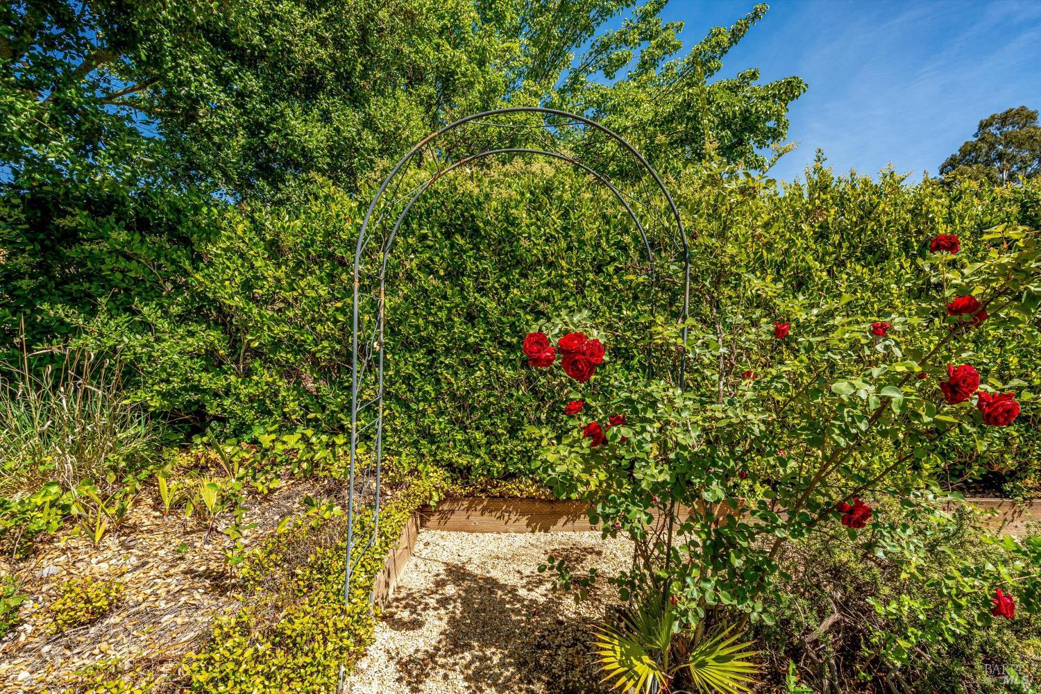 1116 Pinewood Drive Napa CA 94558