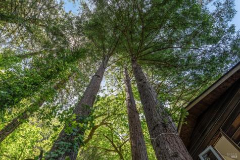 602 Ralston Avenue Mill Valley CA 94941