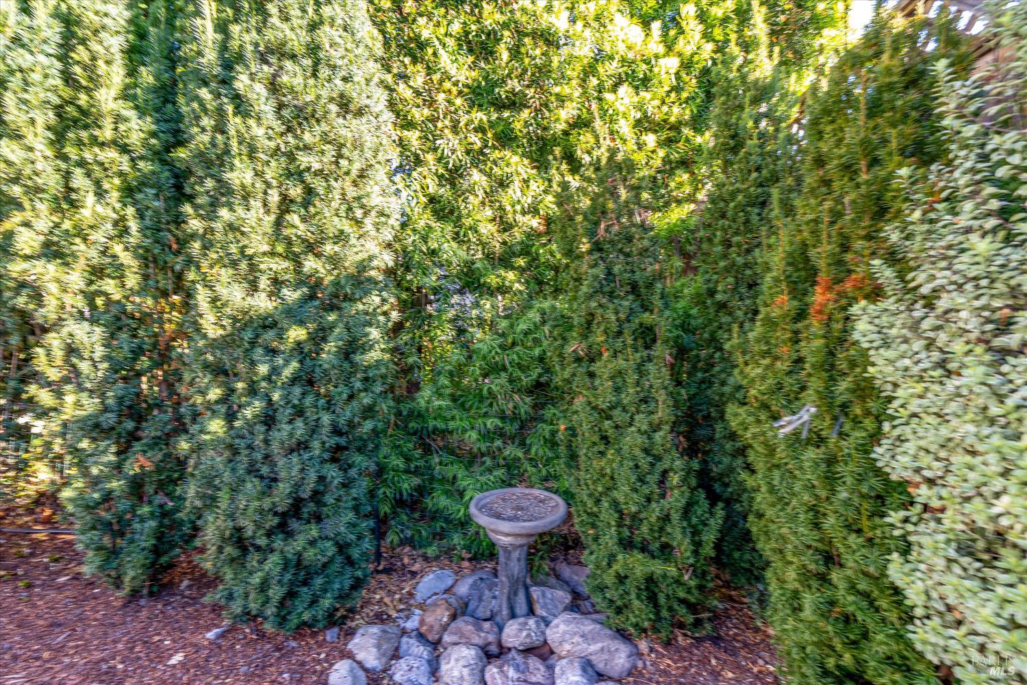 890 3rd Street E Sonoma CA 95476