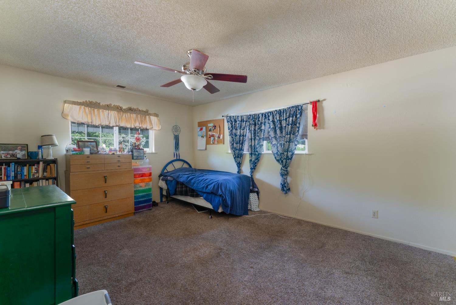 119 Doolan Drive Ukiah CA 95482