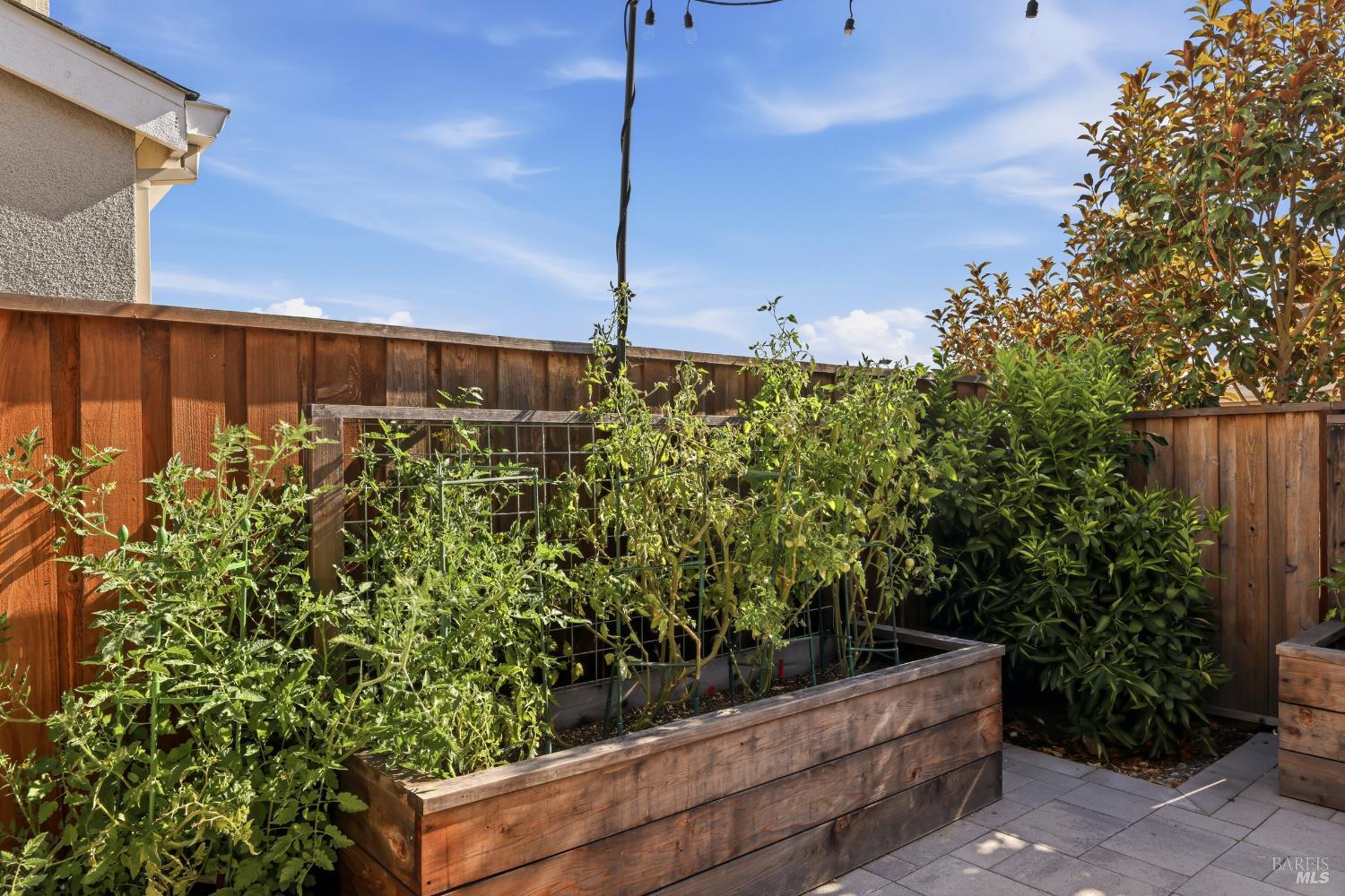 547 Sapphire Street Petaluma CA 94952