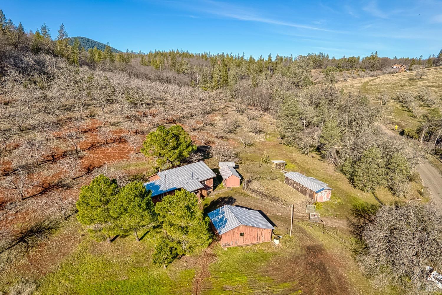 11415 Seigler Springs North Road Middletown CA 95461