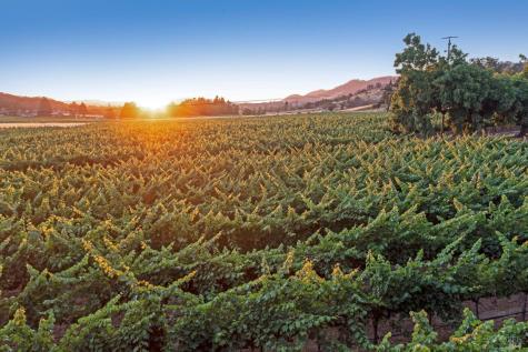 125 Cristo Lane Santa Rosa CA 95409