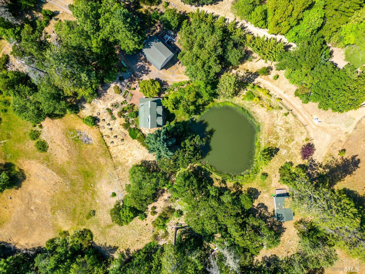 Willits CA 95490