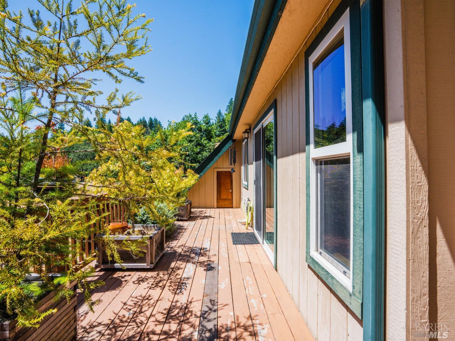 Willits CA 95490