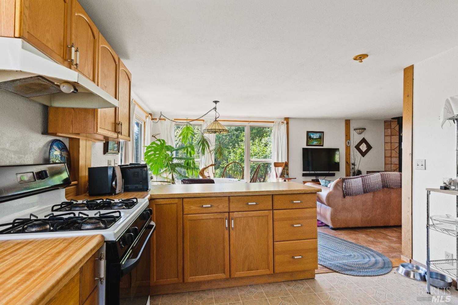 Willits CA 95490