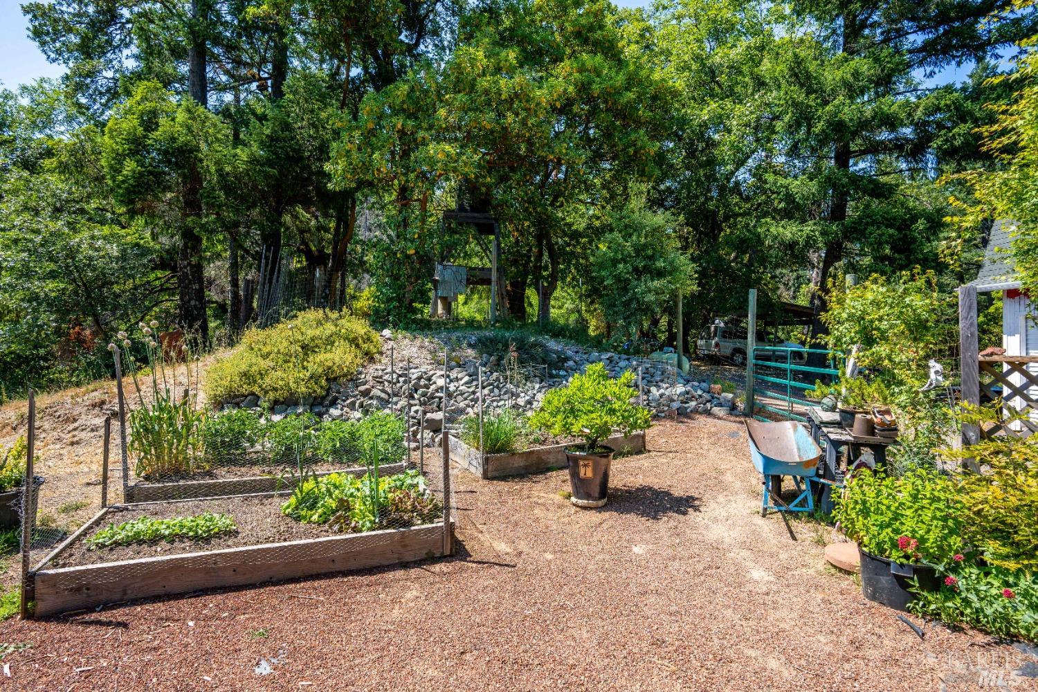 Willits CA 95490