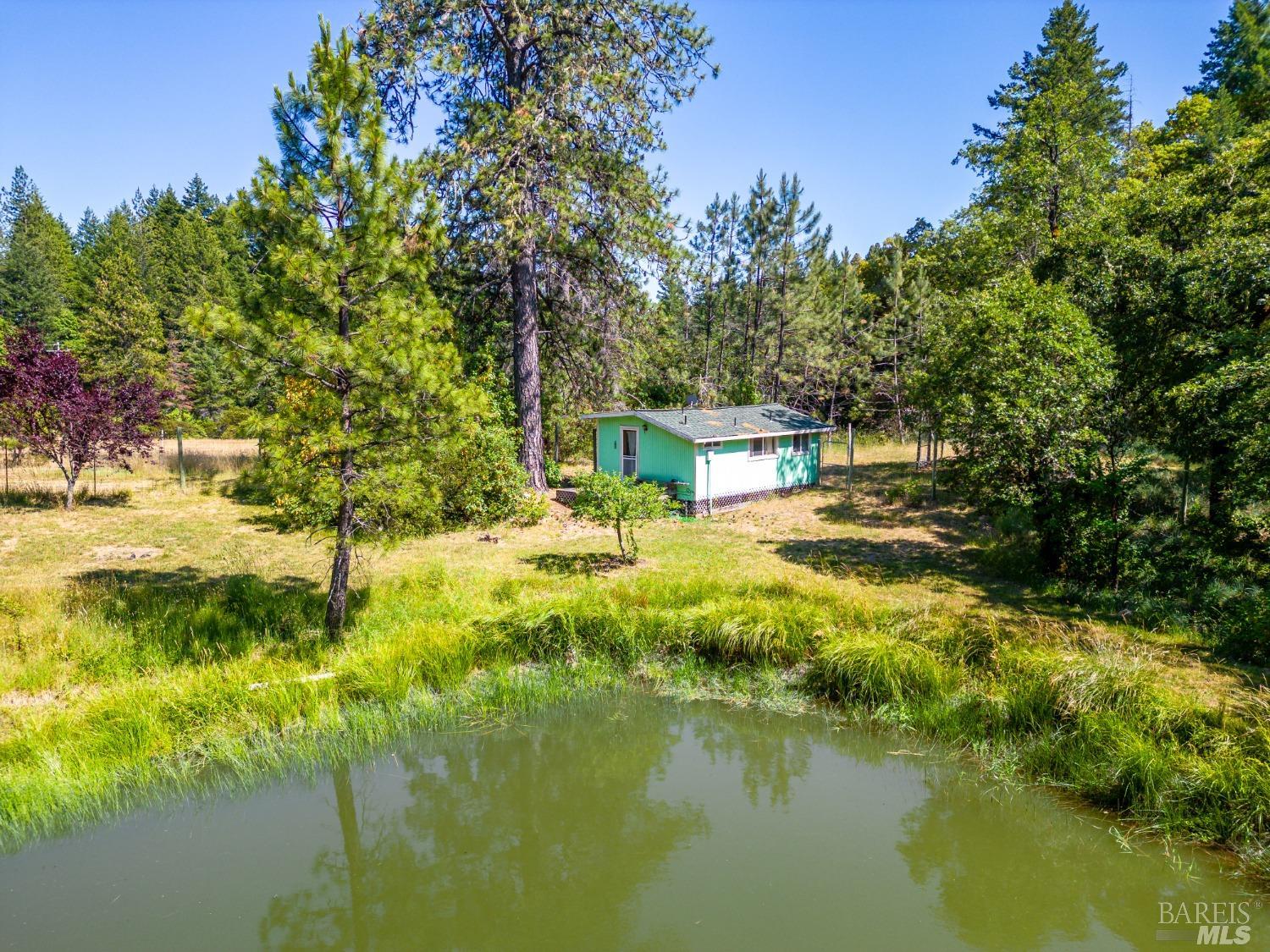 Willits CA 95490
